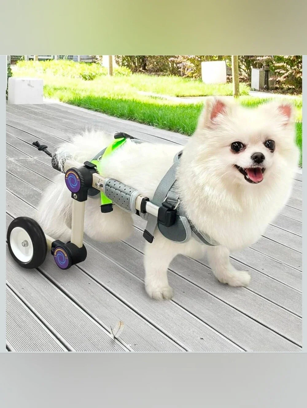 LetPetRun Hind Leg Adjustable Dog Wheelchair for XXS Dogs  Mobility Cart Support